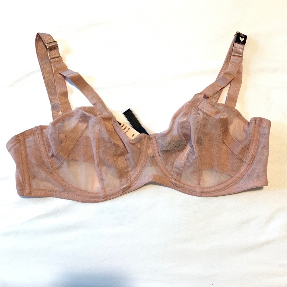 VS Sheer Pink Mesh Bra